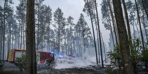 Zwei Feuerwehreinsatzfahrzeuge bei Löscharbeiten in einem brennenden Wald