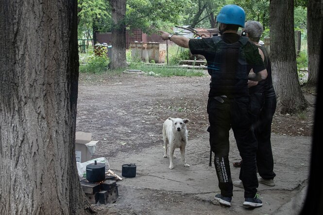 Ein Mann mit einem blauen helm spricht mit jemanden, ein Hund schaut in die Kamera