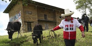 Pedro Castillo mit Strohhut zieht zwei Kühe hinter sich her