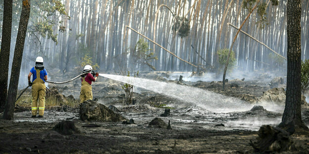 Feuerwehrleute löschen Glutnester in einem Wald
