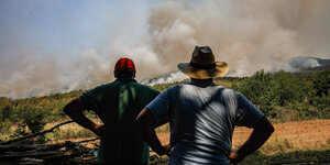 zwei Männer beobachten einen Waldbrand