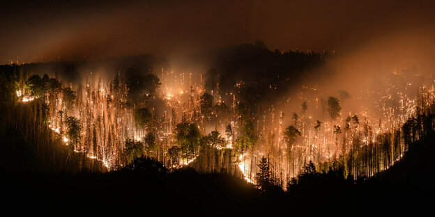 Brennender Wald ,funkensprühend in der Nacht