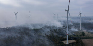 Acht Windräder stehen in einem Wald. Weißer Rauch steigt zwischen den Bäumen auf