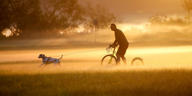 Ein Mann fährt im goldenen Morgenlicht auf einem Roller mit seinem Hund durch eine Wiese