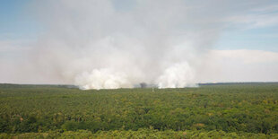 Weiße Dampfwolke über Wald