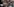 Eine Frau schaut sich eine Fotowand an. Darauf sind Bilder von Menschen zu sehen, die in den letzten Jahren von der Polizei getötet wurden