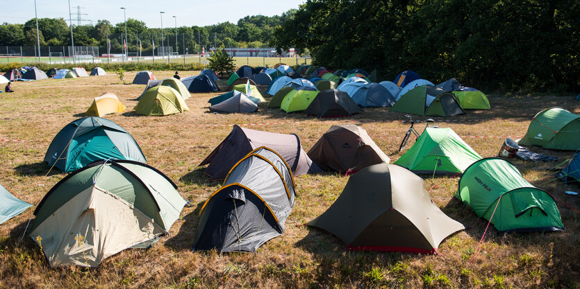 Kleine Zelte stehen auf einer Wiese