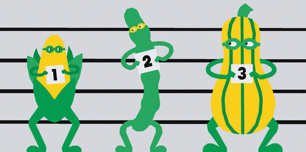 Illustration zeigt drei Maiskolben im Comic-Stil