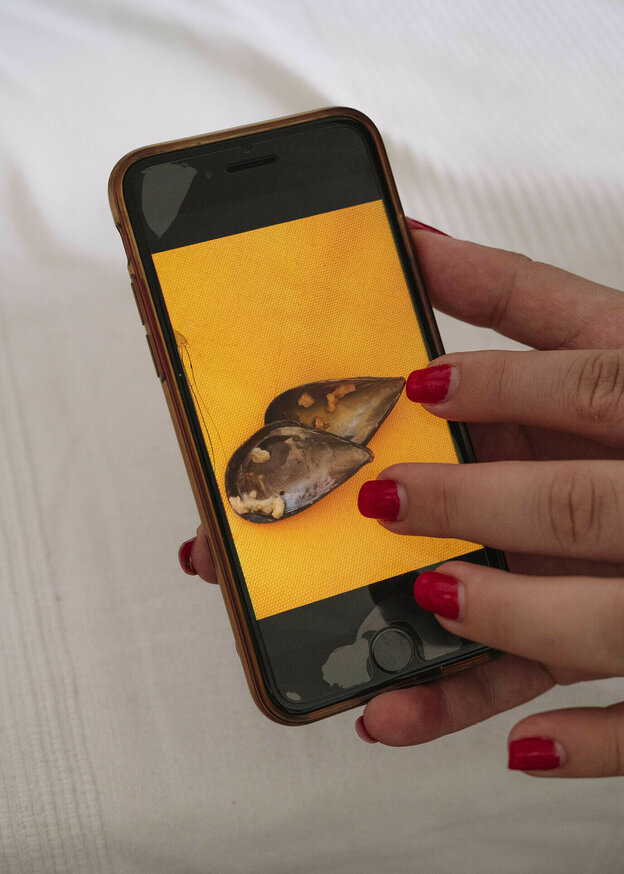 Auf einem Handy ist ein Foto von Miesmuschelschalen zu sehen