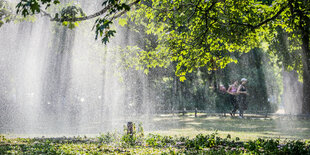 Rasensprenger benetzt die Bäume und Wiesen in einem Park