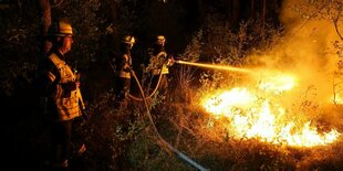 Feuerwehrleute beim Löschen eines Waldbrandes.