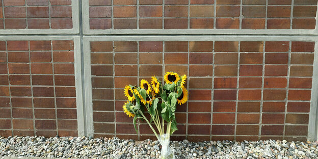 Sonnenblumnen in einer Vase vor einer gekachelten Wand