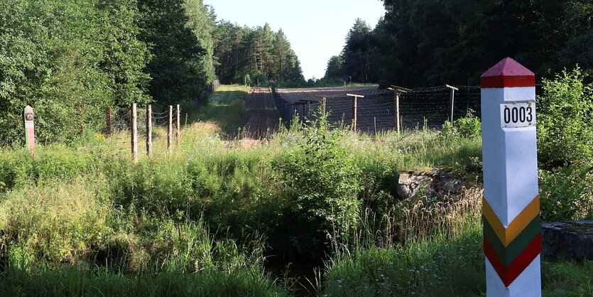 Eine Grenzpfeiler in einer Waldlandschaft