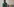 Ibou Diop im Büro der "Dekoloniale", im Hintergrund das Schild "Anton-W.-Amo-Straße", nach der die Berliner "Mohrenstraße" umbenannt werden soll