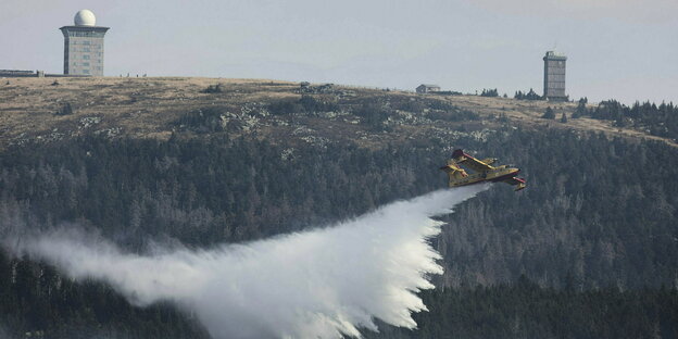 Ein Löschflugzeug verteilt Wasser über Bäume am Brocken.