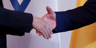 Die Präsidenten Herzog und Steinmeier reichen sich bei einer Pressekonferenz die Hände.