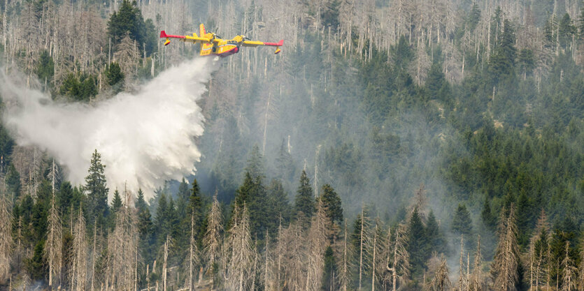 Ein Löschflugzeug verteilt über einem wald Wasser.