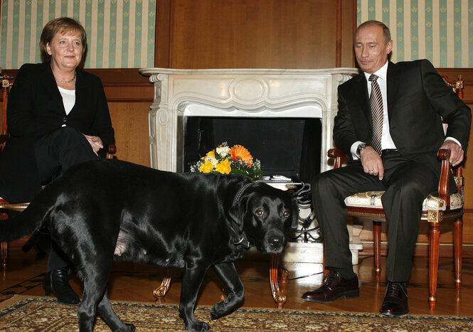 Angela Merkel sitzt mit Wladimir Putin vor dem Kamin, ein großer schwarzer Hund steht vor den beiden - Putin lächelt zufrieden