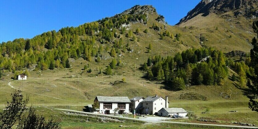 Blick auf Salecina, das selbstverwaltete Ferienzentrum im Oberengadin