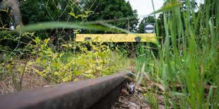 Bahngleise werden von Pflanzen überwuchert