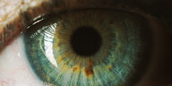 Blick in die Pupille eines Auges