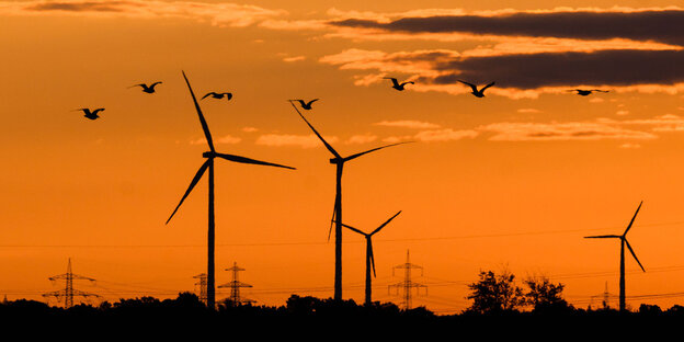 Windräder im Sonnenuntergang