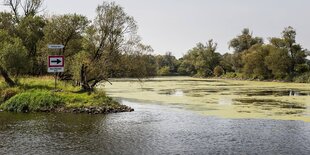 Eine Flusslandschaft