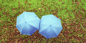 Zwei leuchtend blaue Regenschirme im Herbstlaub