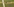 Detail eines Sportfelds