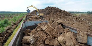 Ein Bagger buddelt im Moor Torf aus