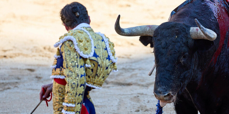 Spanish heritage under pressure: a heart for bulls