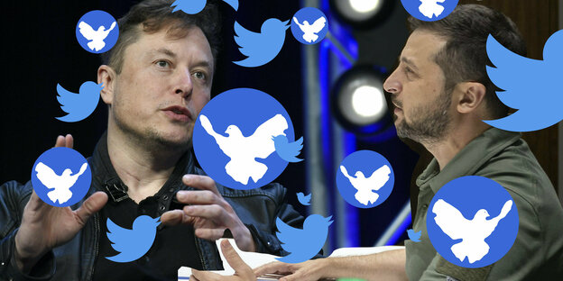 Montage showing Musk and Zelensky surrounded by the bird of the Twitter logo and doves of peace