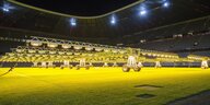Lichtstrahler für den Rasen in der Münchner Allianz Arena.
