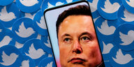 Im Hintergrund das Twitterlogo in mehrfacher Ausführung, davor ein Handybildschirm mit Elon Musk darauf zu sehen