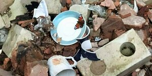 Trümmer, auf einem Teller sitzt ein Schmetterling.