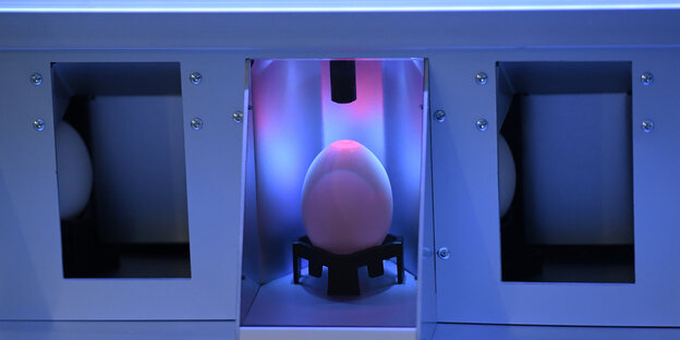 Ein Ein in einem Gerät zur Geschlechtsbestimmung von Embryos.