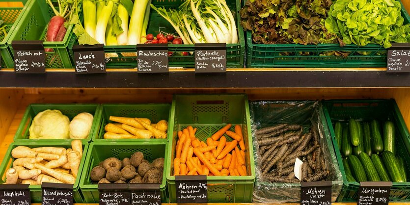 Kisten mit Biogemüse wie Kopfsalat, Möhren, Lauch und rote Beete