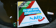 Ein Wahlplakat der AfD ist in einem Brunnen gelandet