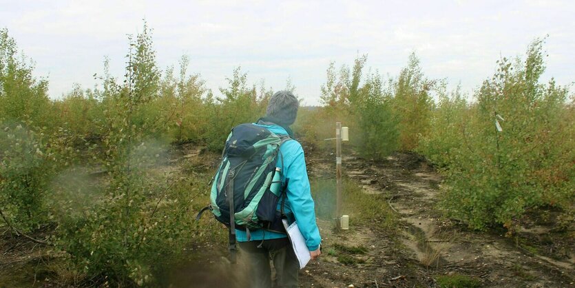 Eine Frau in hellbleuer Outdoor-Jacke zwischen jungen Bäumen