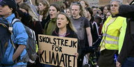 Greta Thunberg beim Klimastreik