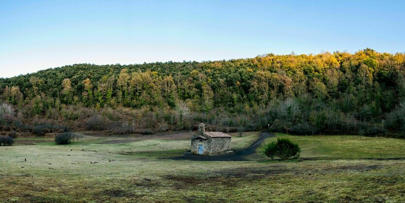 Wiese am Waldrand mit einer kleinen Kapelle