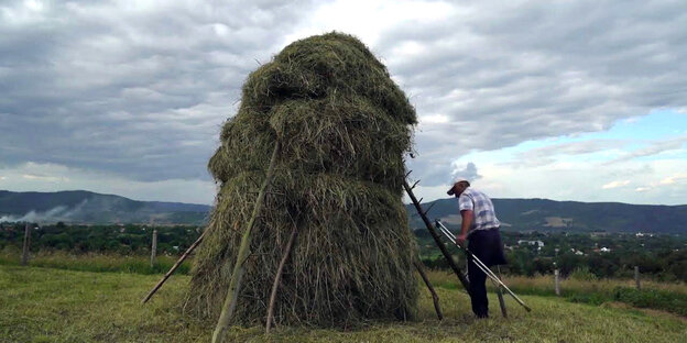 Ein meterhoher Heuhaufen türmt sich auf Äste gestützt auf einer Weide auf. Der Landwirt Dmytro nähert sich auf seinen Krücken dem Turm aus Heu