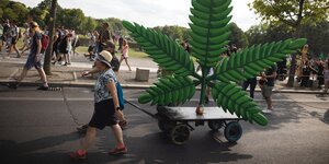 Hanfparade: Aktivisten ziehen ein große4s Cannabis-Blatt auf einem Wagen hinter sich her