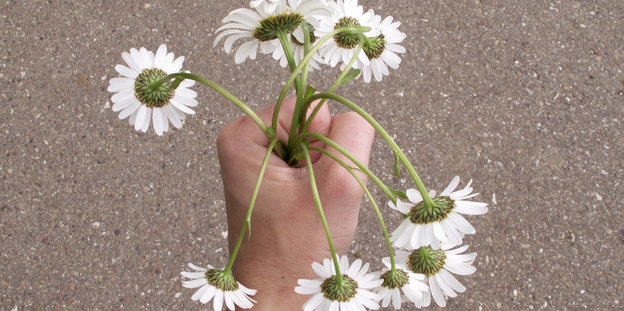 Ein Blumenstrauß in einer Hand. Es sind Margeriten, die die Köpfe hängen lassen.
