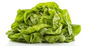 grüner frischer Salatkopf