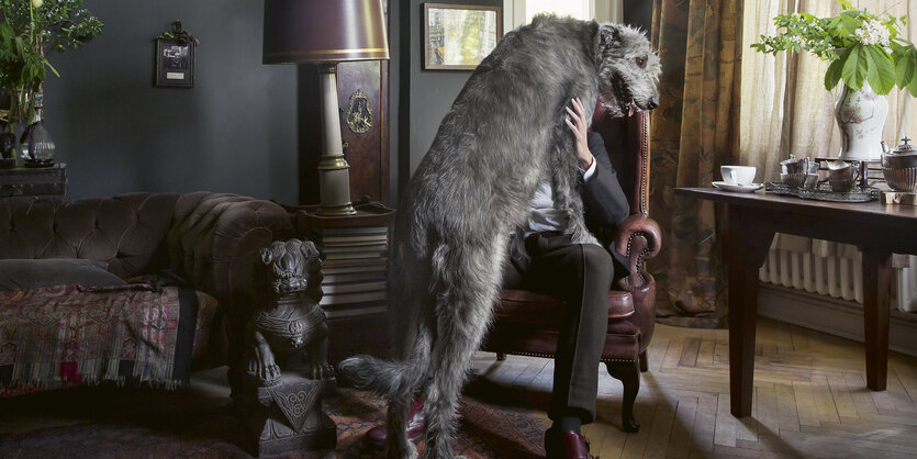 Foto eines Altbau-Wohnzimmers. Auf einem Sessel sitzt ein Mann, der von einem irischen Wolfshund auf dessen Schoß verdeckt wird