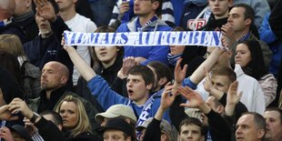 Herthafan im Stadion