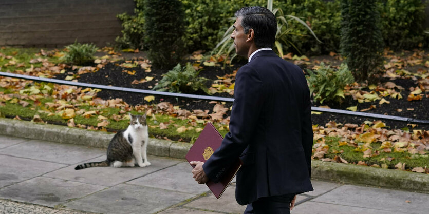 Rishi Sunak läuft mit einer roten Mappe und goldenem Emblem, eine grau-weiß getigerte Katze schaut zu