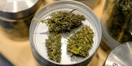 Getrocknete Cannabisblüten