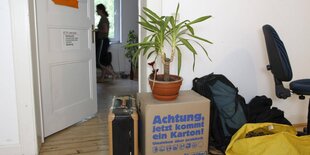 Umzugskartons im Wohnheimzimmer